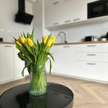 Apartament 55 Daire *