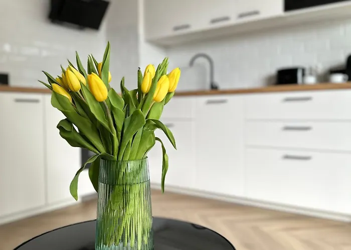 Apartament 55 Appartamento *